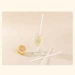 PLA Biodegradable Drinking Straws – Individually Wrapped（Minimum order: 50 packs，Custom packaging available）