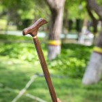 Wenge Wood Walking Stick