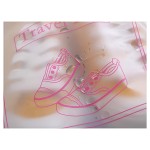 Travel Shoe Storage Bag (with Zipper)