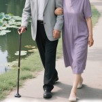 Telescopic Walking Stick