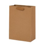 Kraft paper bag（Minimum order: 1000 pieces，Custom packaging available）