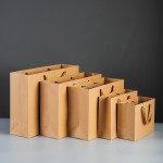 Kraft paper bag, horizontal style（Minimum order: 1000pieces，Custom packaging available）
