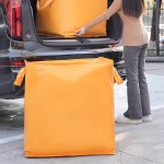 3D Moving Bag（Minimum order: 1000 pieces，Custom packaging available）